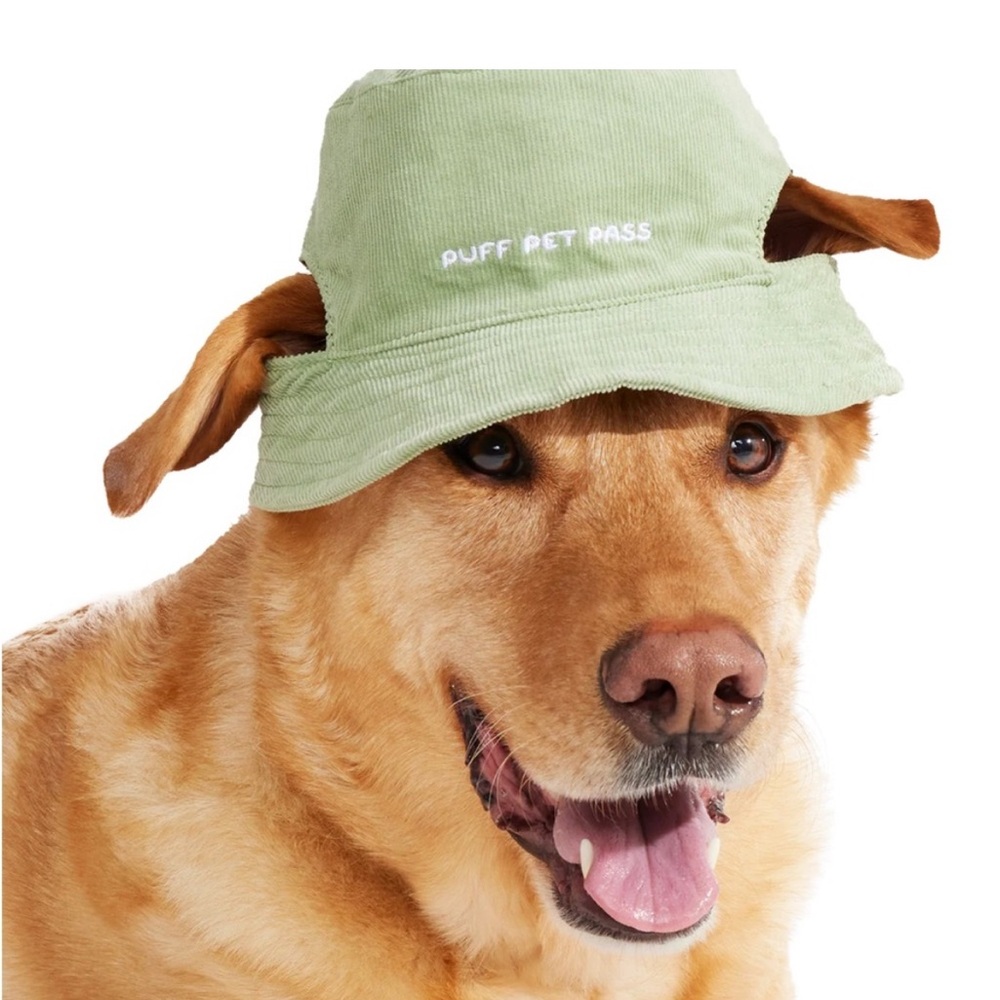 Barkbox Green Corduroy Bucket Hat for Dogs (Puff Pet Pass)